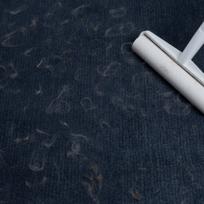 Luna - Extra Large Lint Roller - Image 2